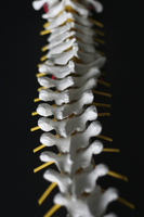 Osteopathie, Gesundheit, ganzheitlich, ganzheitliche Medizin, komplementär, integrative Medizin, Knochen, Gelenke, Bandscheiben, Nerven, Schmerzen Andrew Tyler Still, Bewegung, Aufhängung, Faszien