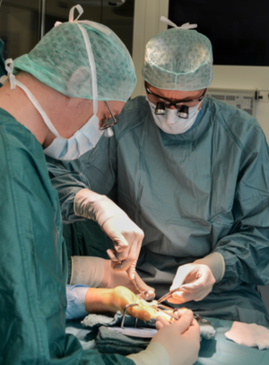 Replantation Handchirurgie, Prof. Dr. med. Andreas Eisenschenk, Amputation, Team, Unfall , Medizin für Menschen