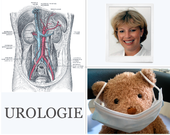 Urologie, Medizin, integrative Medizin, Margit Fisch, Nieren, Blase, Prostata, Kinderurologie
